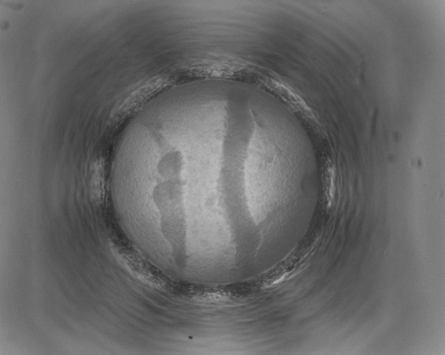 X0000080660594200612301337