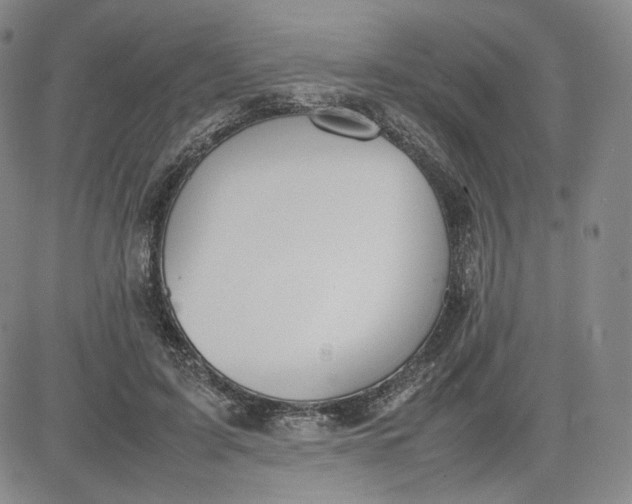 X0000080660595200612301337