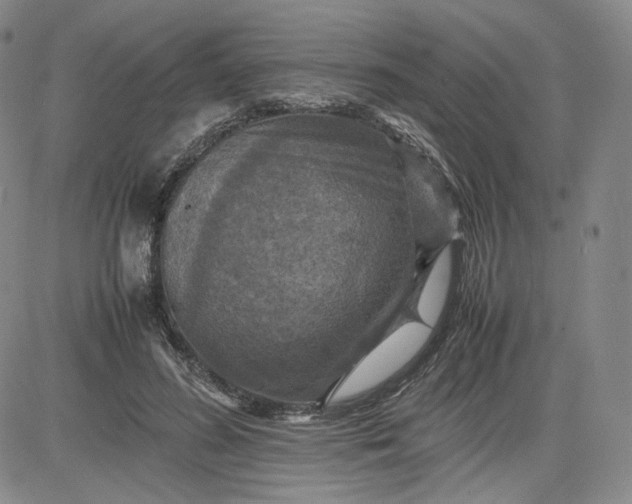 X0000080660596200612301337