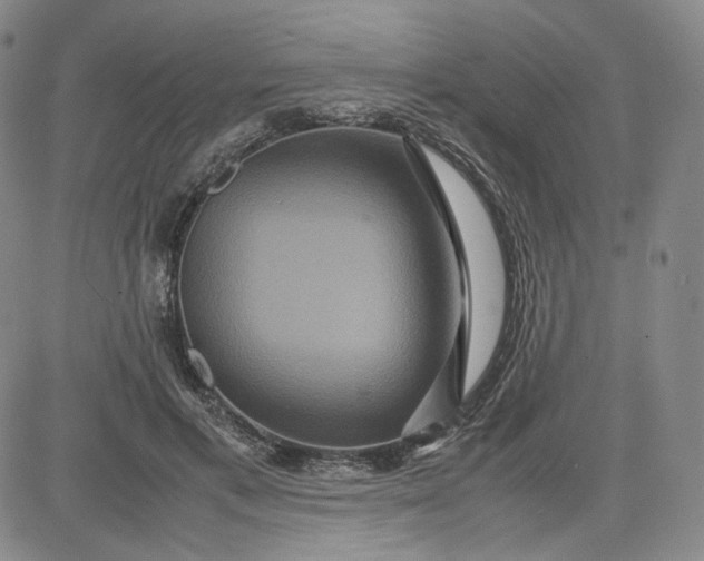 X0000080660597200612301337