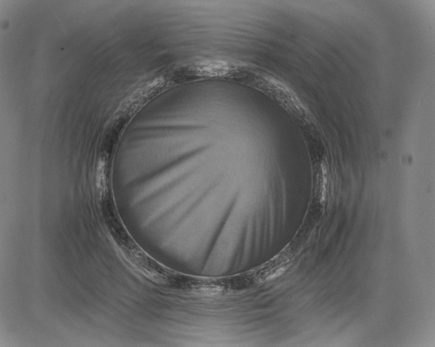 X0000080660598200612301337