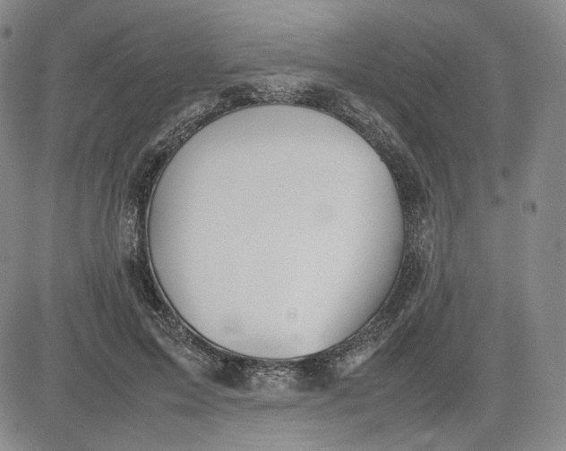 X0000080660599200612301337