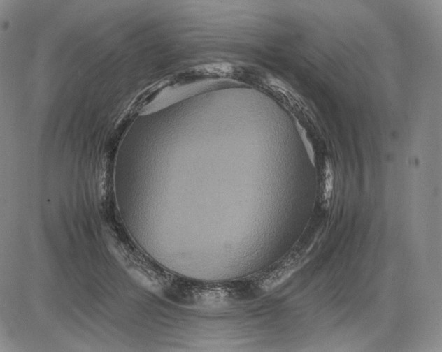 X0000080660600200612301337