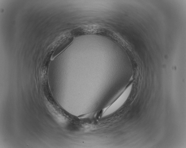 X0000080660601200612301337