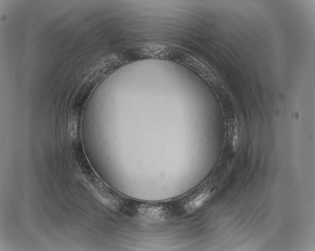 X0000080660602200612301337