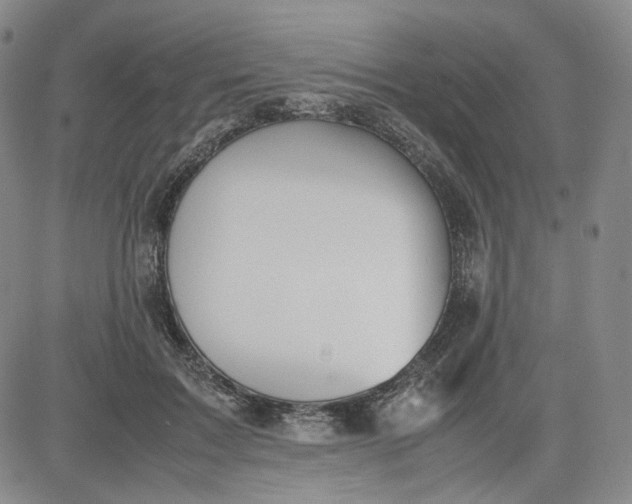 X0000080660603200612301337