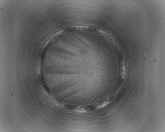 X0000080660604200612301337