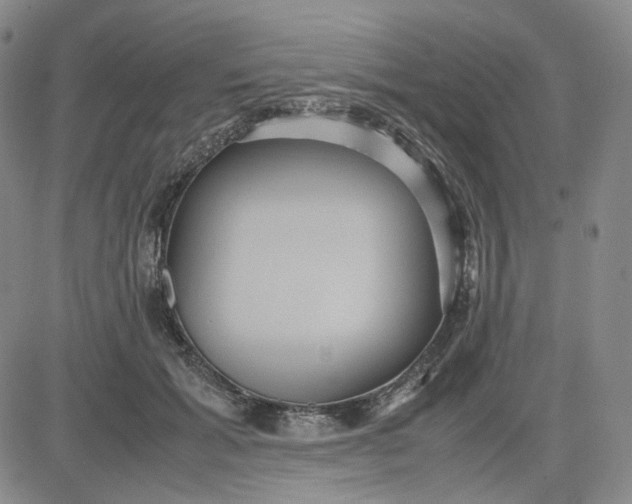 X0000080660605200612301337