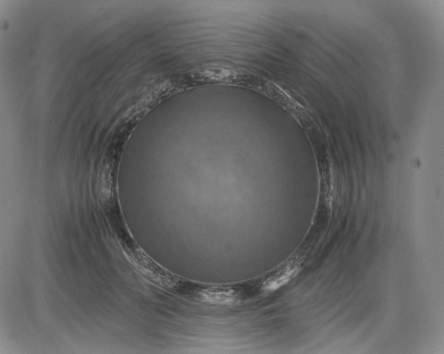 X0000080660606200612301337