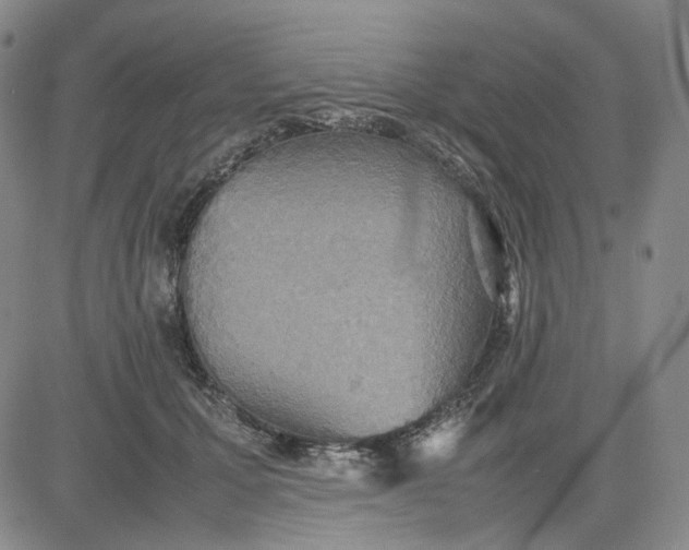 X0000080660607200612301337