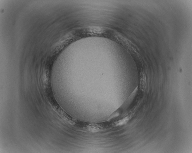 X0000080660608200612301337