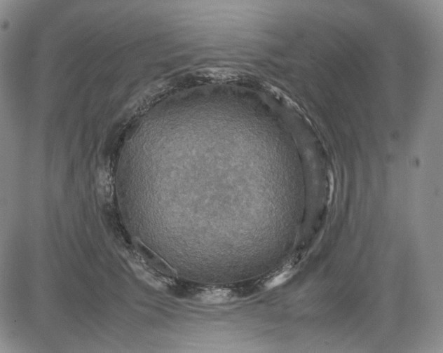 X0000080660609200612301337