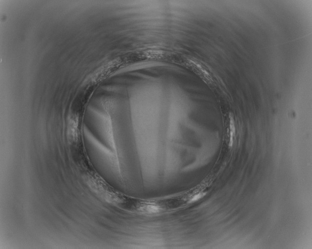 X0000080660610200612301337