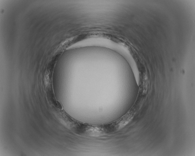 X0000080660611200612301337