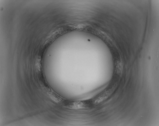 X0000080660612200612301337