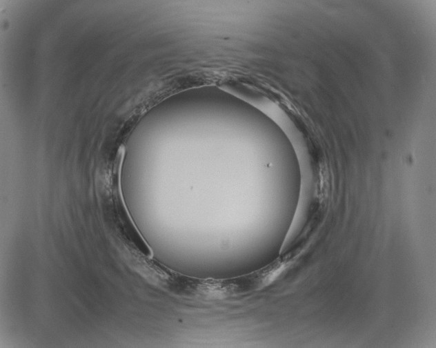 X0000080660613200612301337