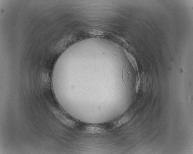 X0000080660614200612301337