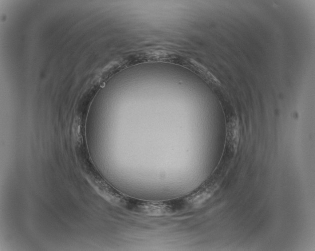 X0000080660615200612301337