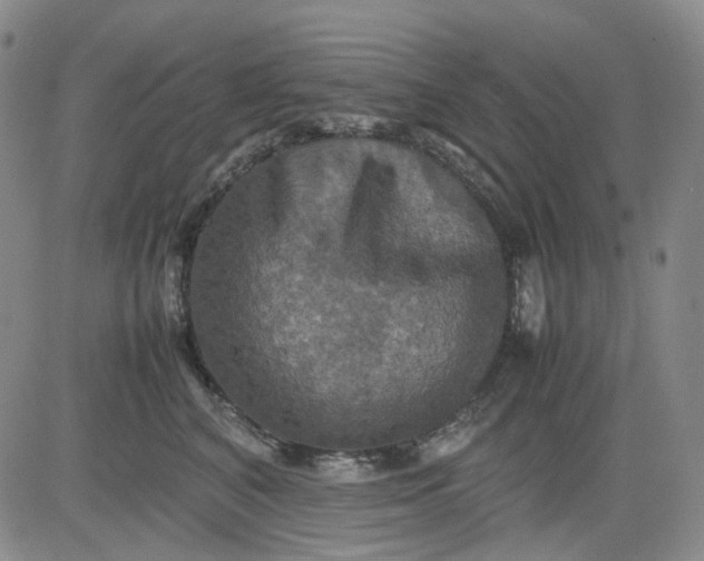 X0000080660616200612301337