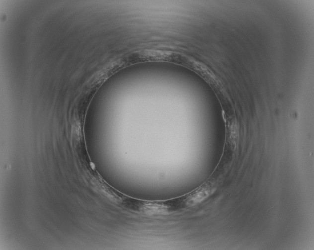 X0000080660617200612301337