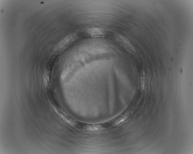 X0000080660618200612301337