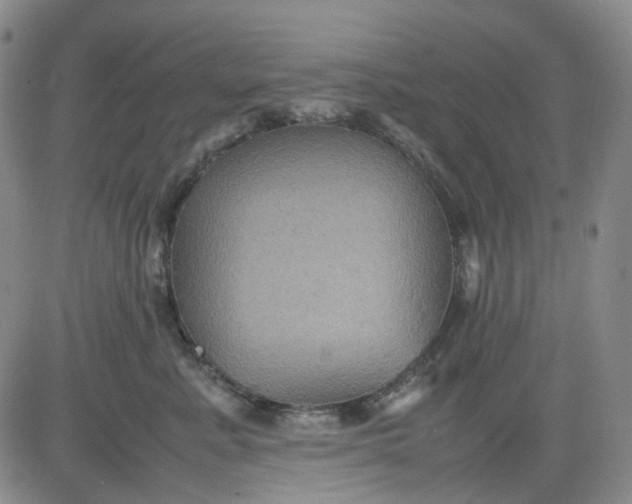 X0000080660619200612301337