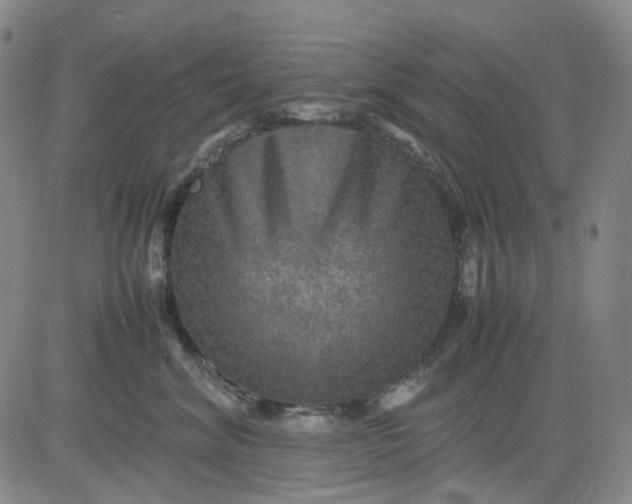 X0000080660620200612301337