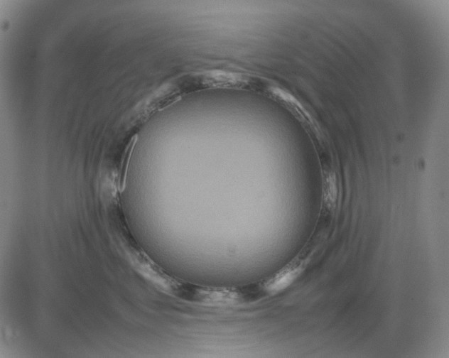 X0000080660621200612301337