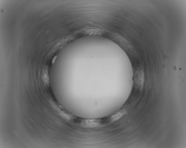 X0000080660622200612301337