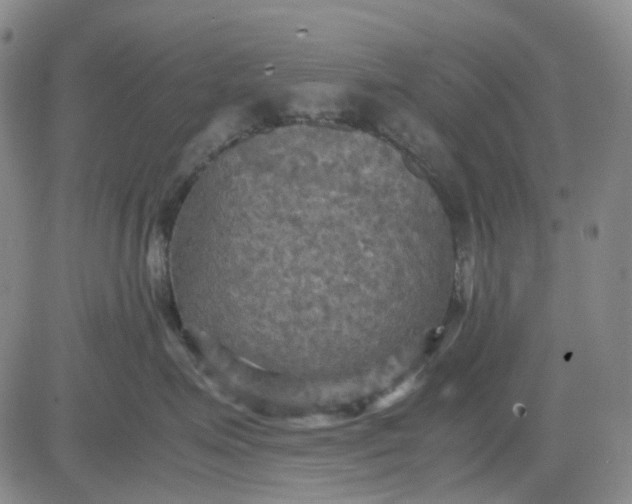 X0000080660623200612301337