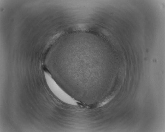 X0000080660624200612301337