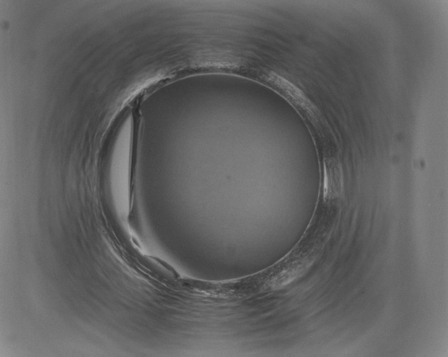 X0000080660627200612301336