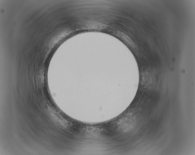 X0000080660632200612301336