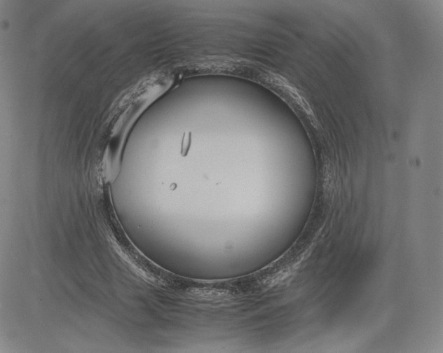 X0000080660633200612301336