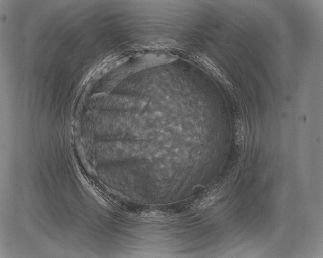 X0000080660634200612301336