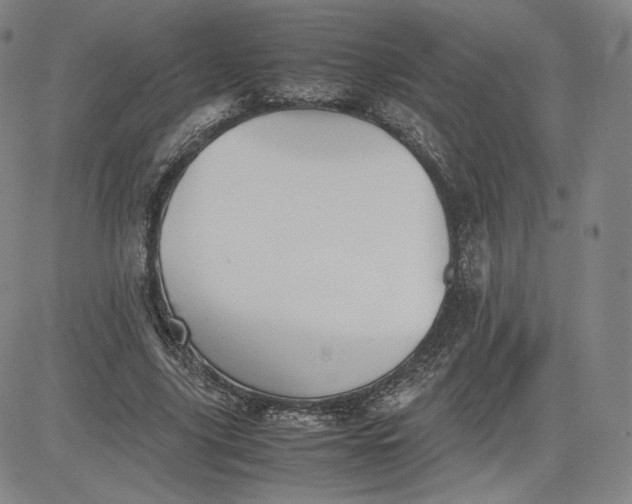 X0000080660635200612301336