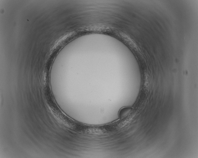 X0000080660636200612301336