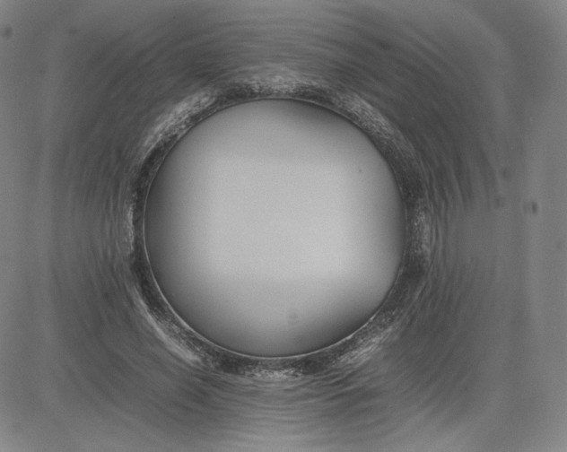 X0000080660638200612301336