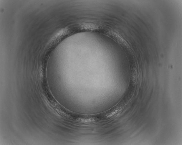 X0000080660639200612301336