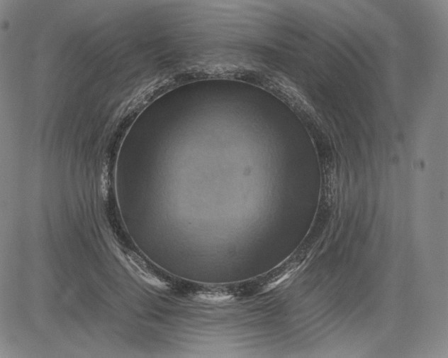 X0000080660644200612301336