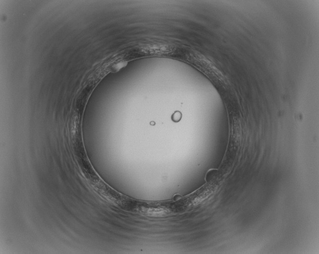 X0000080660645200612301336