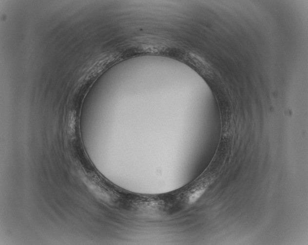 X0000080660646200612301336