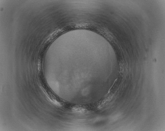 X0000080660648200612301336