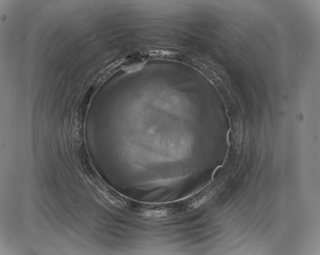 X0000080660653200612301336