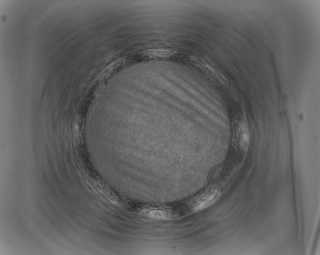 X0000080660655200612301336