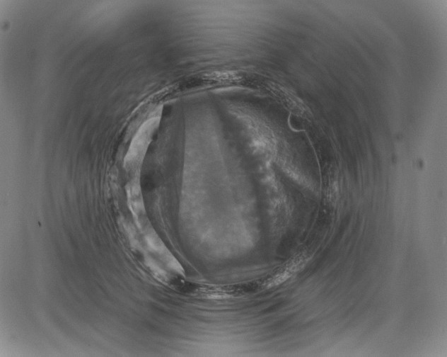 X0000080660658200612301336