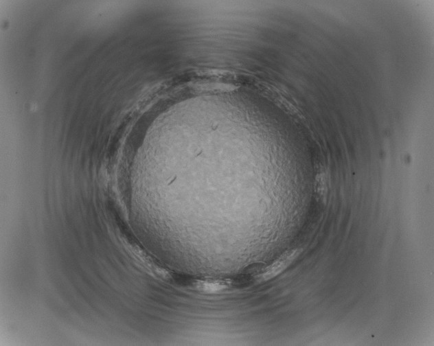 X0000080660662200612301336