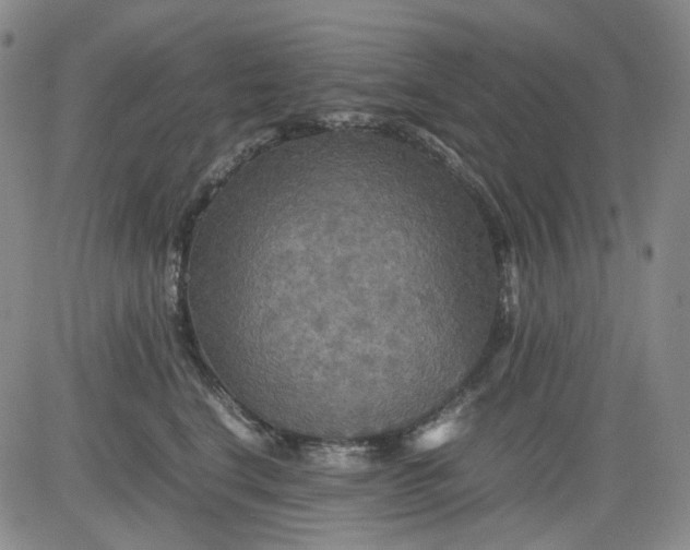 X0000080660664200612301336