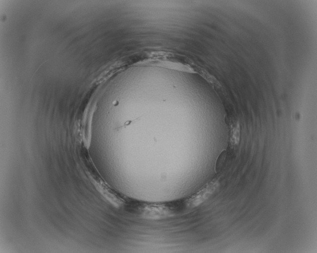 X0000080660666200612301337