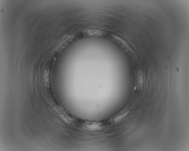 X0000080660667200612301337